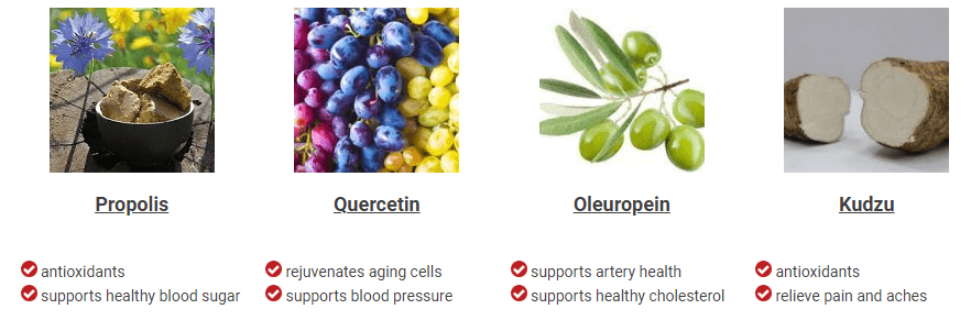 Exipure Ultimate Reviews